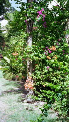 Sunbury Plantation House, Barbados