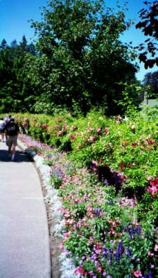 Butchart Gardens, Victoria, Canada