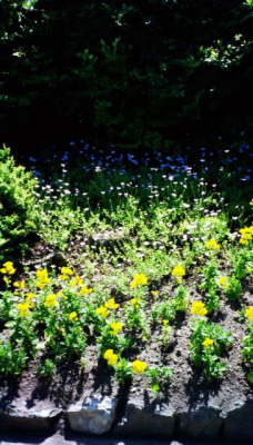 Butchart Gardens, Victoria, Canada