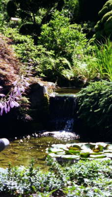 Butchart Gardens, Victoria, Canada