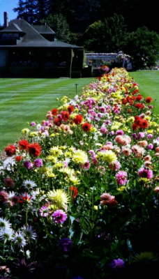 Butchart Gardens, Victoria, Canada