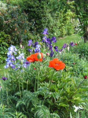 Claude Monet's Garden