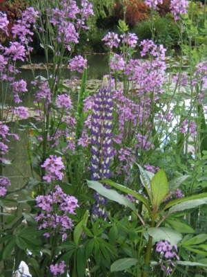 Claude Monet's Japanese Garden