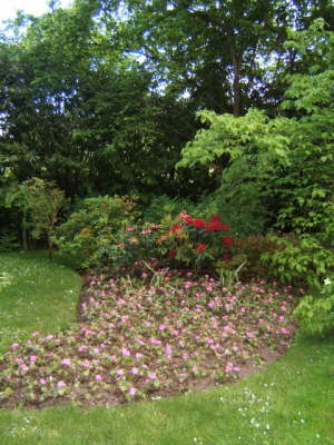 Claude Monet's Japanese Garden