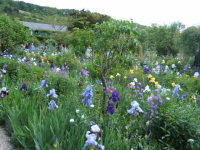 Claude Monet's Garden