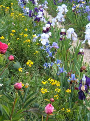Claude Monet's Garden