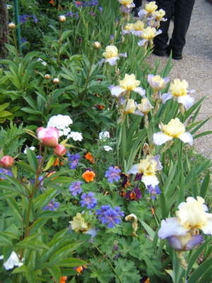 Claude Monet's Garden