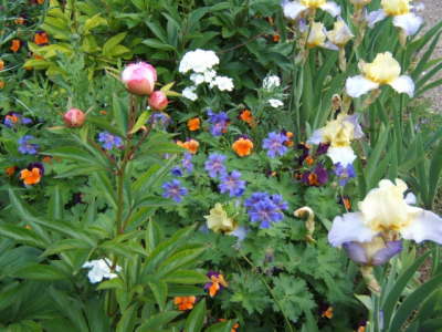 Claude Monet's Garden