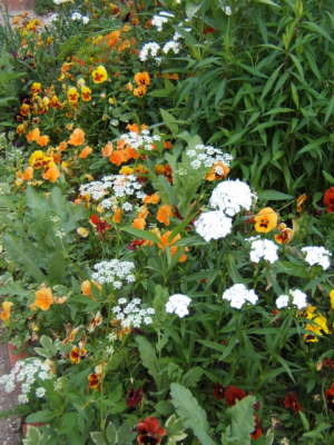 Claude Monet's Garden