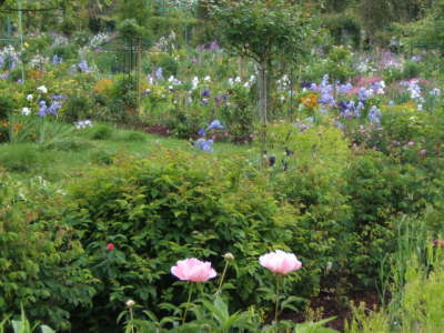 Claude Monet's Garden