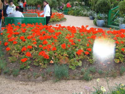 Claude Monet's Garden