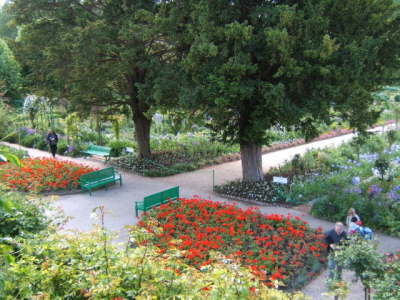 Claude Monet's Garden