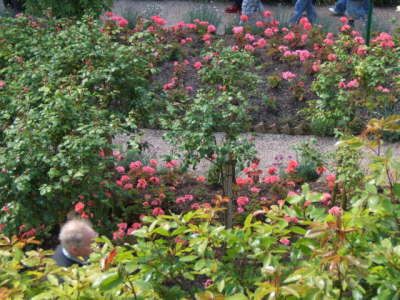 Claude Monet's Garden