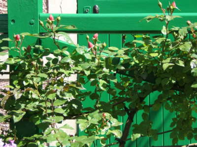 Claude Monet's Garden