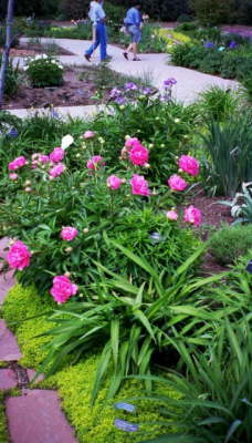 Denver Botanical Gardens