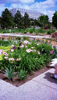 Denver Botanical Gardens